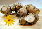 Link zur Seite „The Potato-Flower Company“ (Abbildung der Knolle Topinambur)